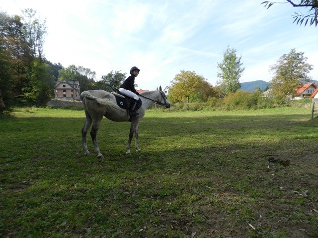 Babie Lato 2016